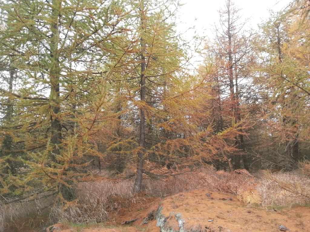 Sneznik Otel Dış mekan fotoğraf